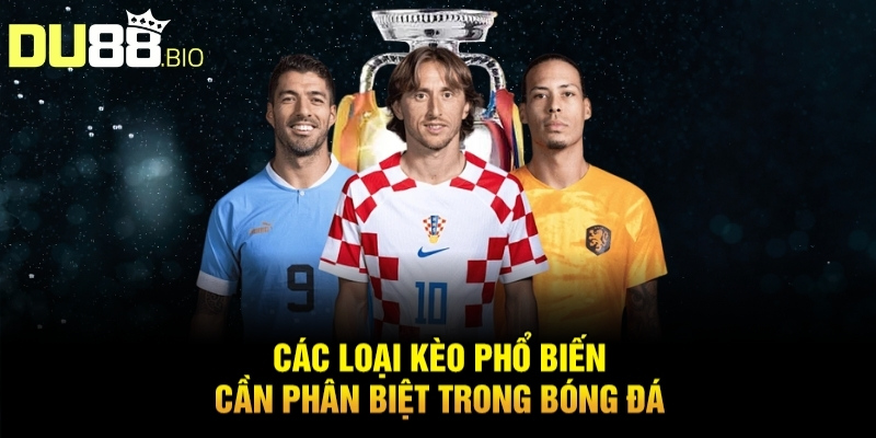 Cách Tính Tiền Thắng Thua Cá Độ Bóng Đá Chuẩn Xác Từ DU88 3 Các loại kèo phổ biến cần phân biệt trong bóng đá